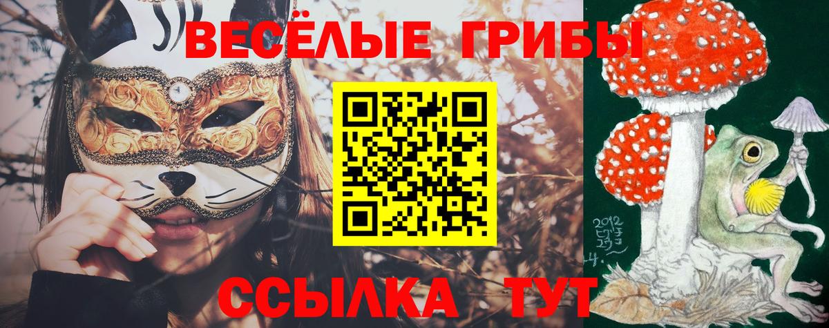 Галлюциногенные грибы GOLDEN TEACHER  Вход с VPN  Саров  Галлюциногенные грибы мухоморы 